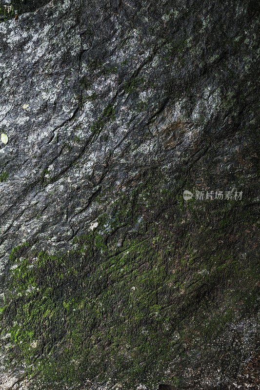 天然苔藓与岩石纹理背景