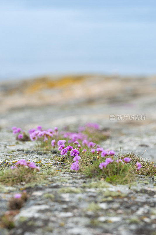 海岸线海上节俭