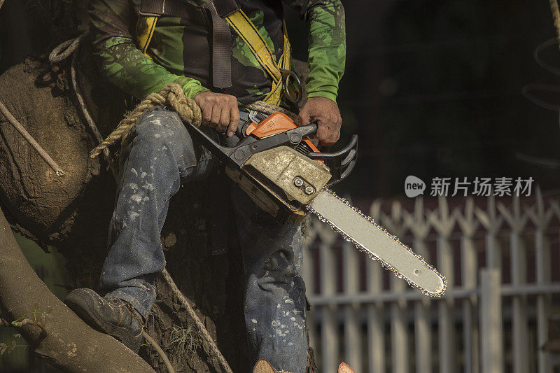 一个人在砍木柴时，手里拿着电链锯