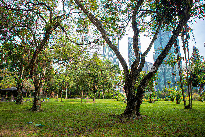 KLCC公园是吉隆坡市中心的一个公园。该公园旨在为双子塔和周边地区提供绿色植物。