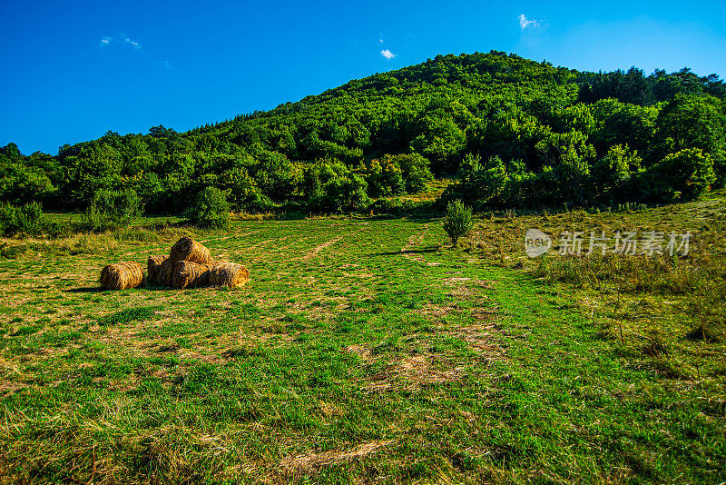 塞尔维亚斯塔拉普拉尼纳山的景观