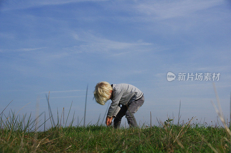 沼泽里的男孩