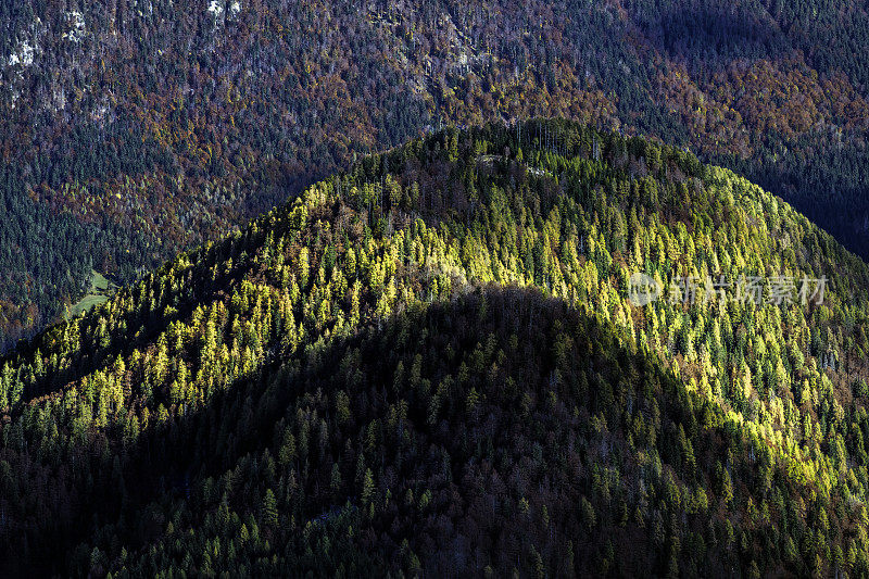 秋天的森林和山脉，Bavšcica山谷，Bovec，朱利安阿尔卑斯山，斯洛文尼亚，欧洲