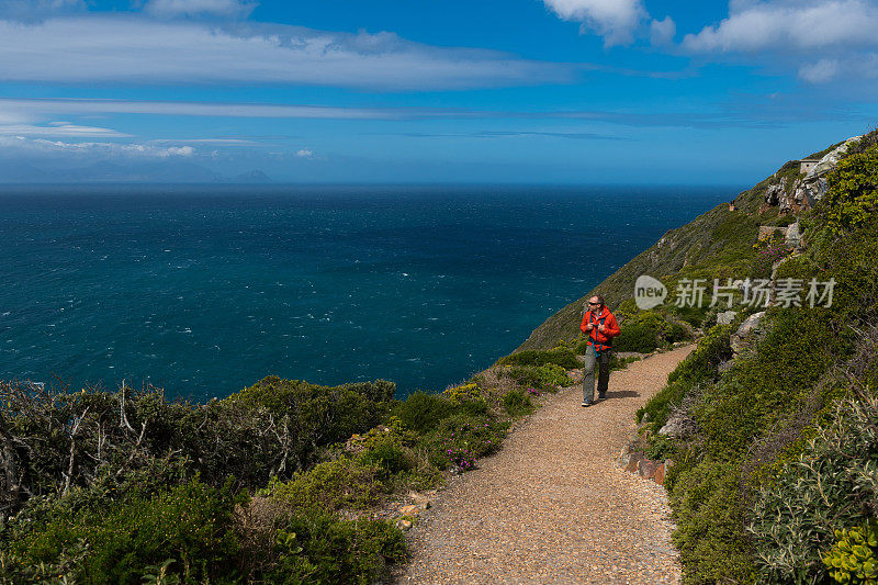 在南非开普敦附近美丽的海角岬徒步旅行