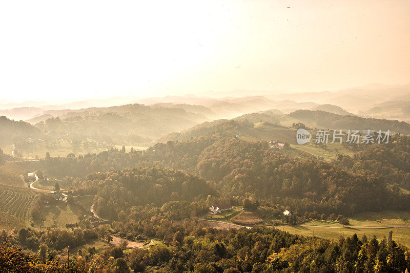 晨雾中的风景