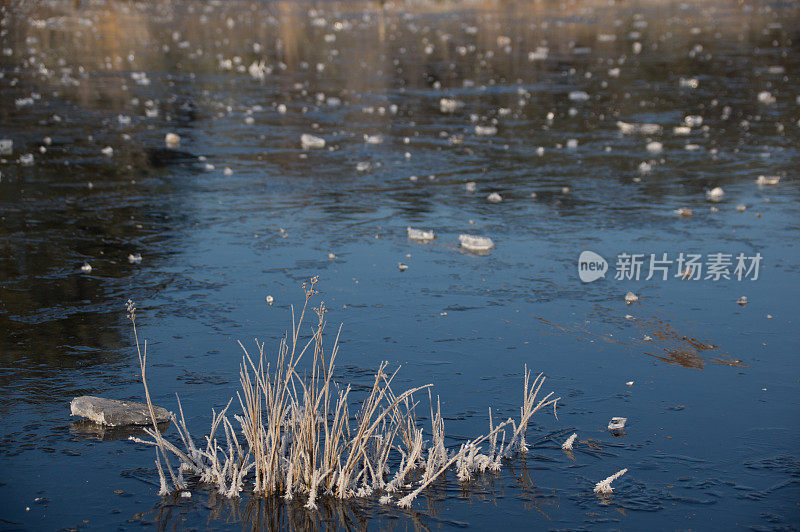 湿地结冰