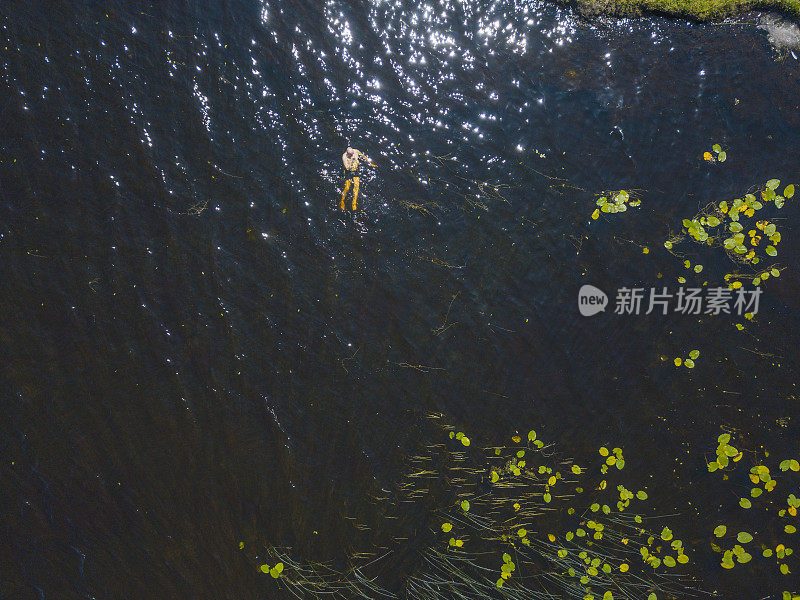 鸟瞰图的人游泳在一个湖在夏天，罗斯康芒，爱尔兰。