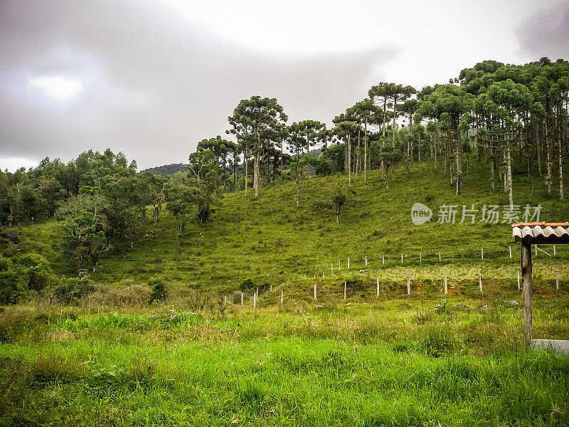 坎波山-蒙特佛得角-米纳斯吉拉斯州