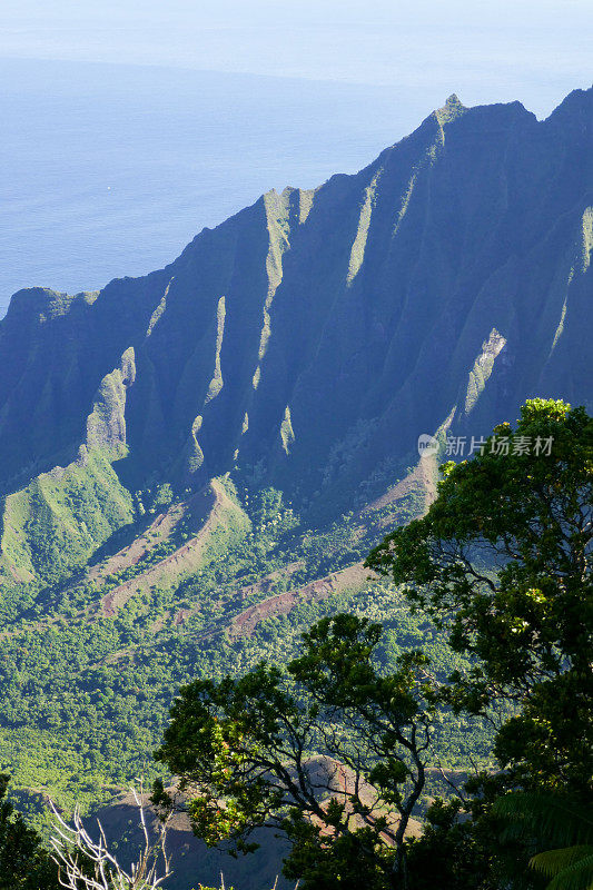 威美亚峡谷，考艾岛，美国夏威夷