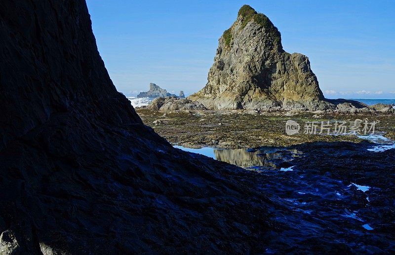 奥林匹克公园海岸