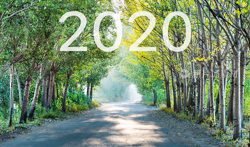 空旷的人行道和2020号