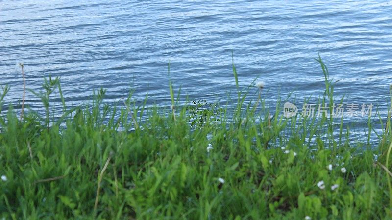 阳光倒映在河面上