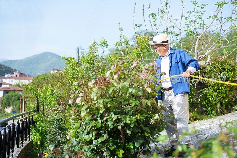 一位老人在一个阳光明媚的日子里在花园里干活