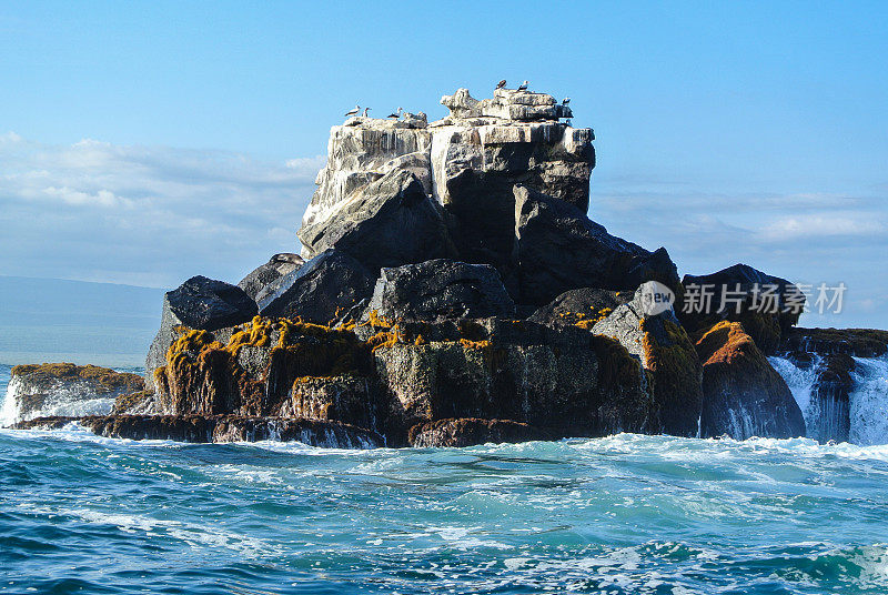 加拉帕戈斯群岛岩层