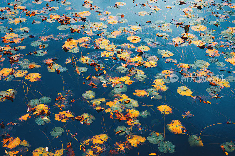 丰富多彩的秋天湖