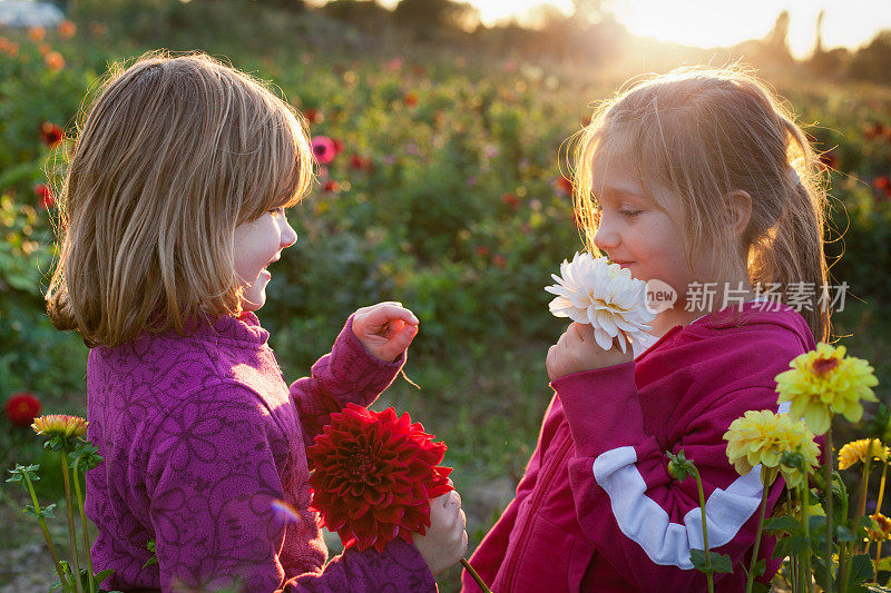 两个可爱的女孩在花圃里