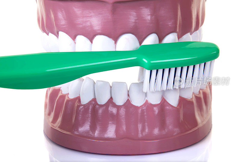 牙齿牙医的示例