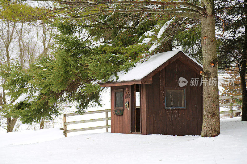 雪林中的小屋游戏室