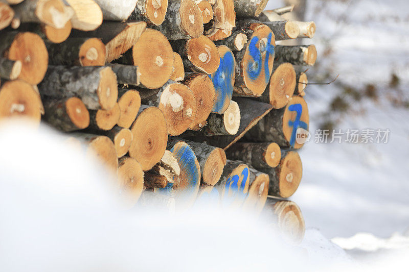 积雪下堆放的原木