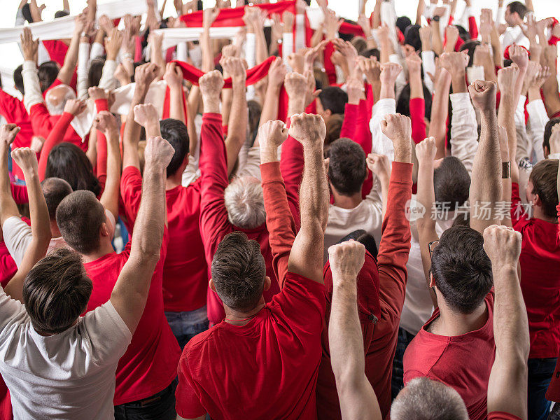 体育迷举起手臂庆祝的后视图。
