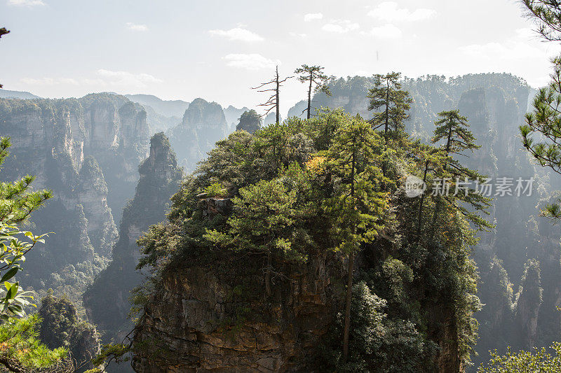 砂岩柱，张家界国家森林公园，中国