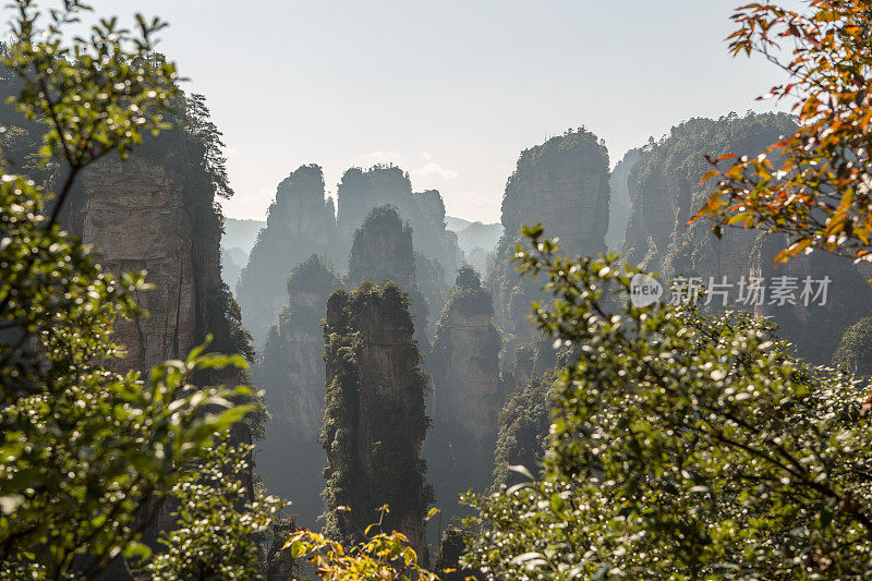 砂岩柱，张家界国家森林公园，中国