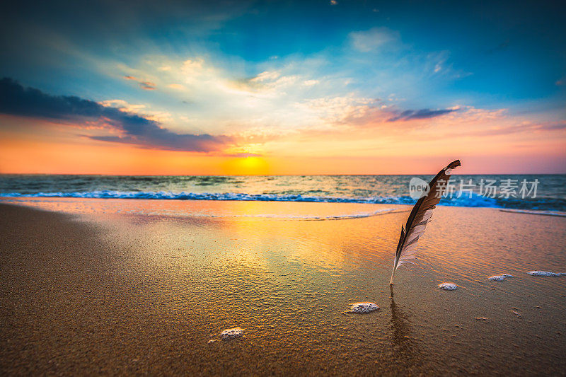 美丽的海面日出，海鸥的羽毛插在沙滩上
