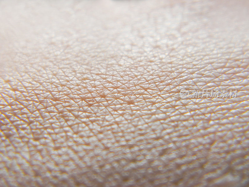 人体皮肤微距照片