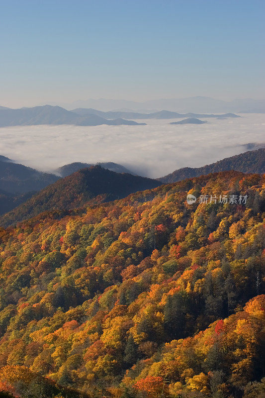 烟山远景垂直