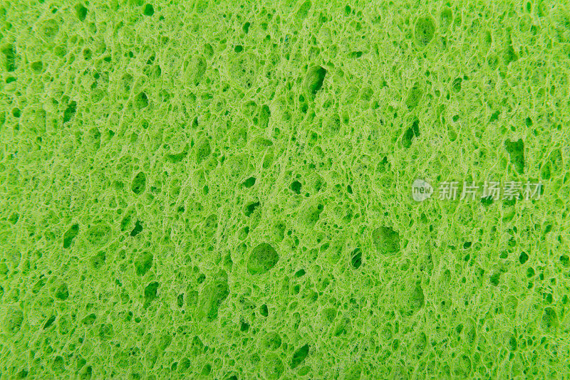 绿色海绵表面