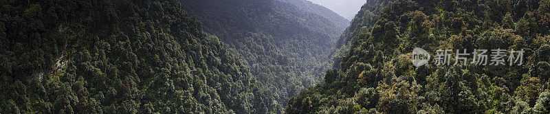 雨林丛林山谷全景喜马拉雅山