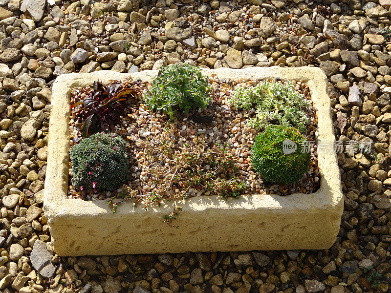 形象的花园水槽槽，小高山植物与砾石