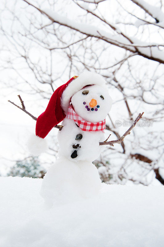 戴圣诞帽的可爱雪人