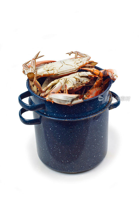 白色背景下的海鲜锅里的螃蟹