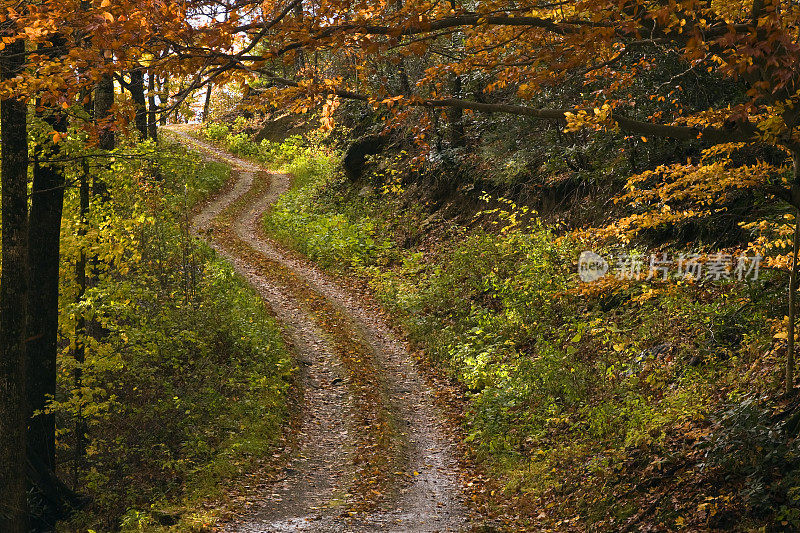 秋天的蓝岭公园路