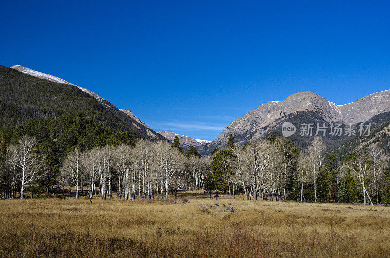 落基山国家公园的山地景观