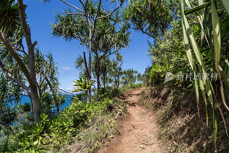 卡拉劳小径景观，纳帕利海岸州立公园，考艾岛，夏威夷