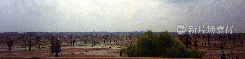 路易斯安那湿地，密西西比河谷