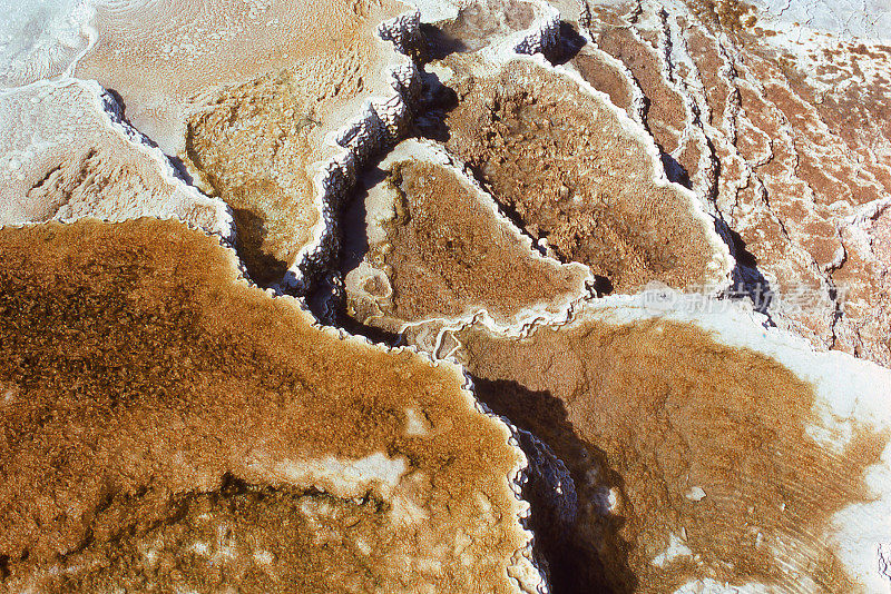 石灰华矿床和热池的特写，在猛犸温泉黄石国家公园怀俄明州