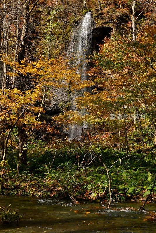 瀑布的夏秋颜色，江濑山溪，青森，日本