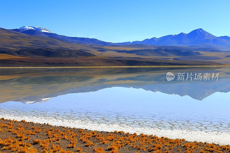 拉古纳图亚克托-图亚克托湖和Miniques雪顶火山-绿松石湖盐镜像反射和田园般的阿塔卡马沙漠，火山景观全景-圣佩德罗阿塔卡马，智利，Bolívia和阿根廷边境