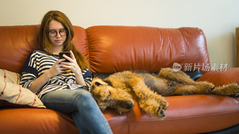 漂亮的白人少女浏览社交媒体，和睡在沙发旁边的小猎犬