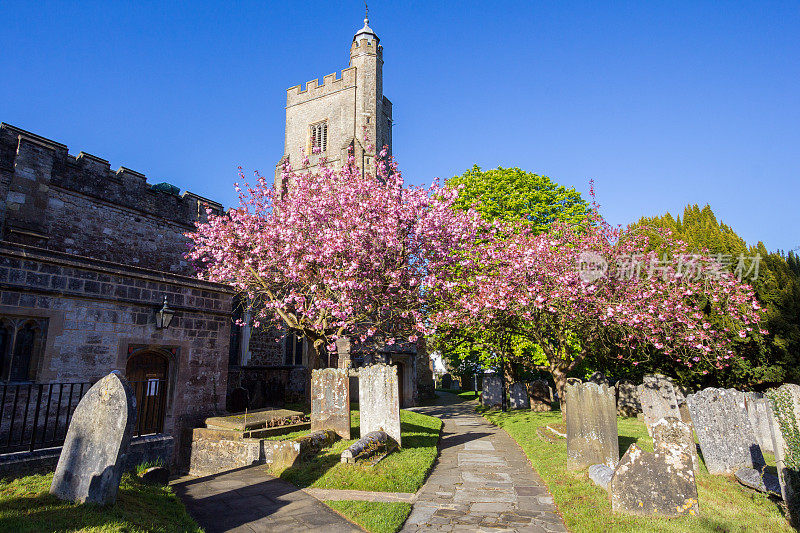 圣尼古拉斯教堂在七橡树，英格兰