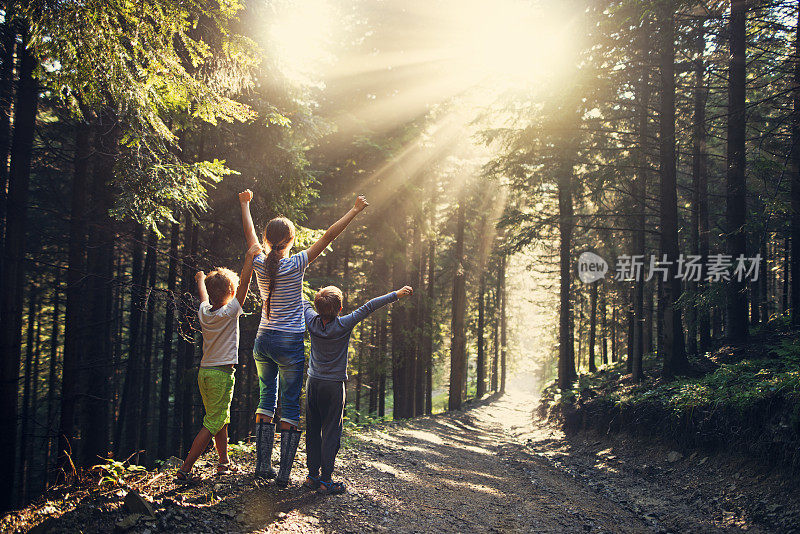 孩子们在雨后的森林里欣赏灿烂的阳光