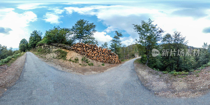 等矩形全景图:阿尔卑斯山森林中的道路