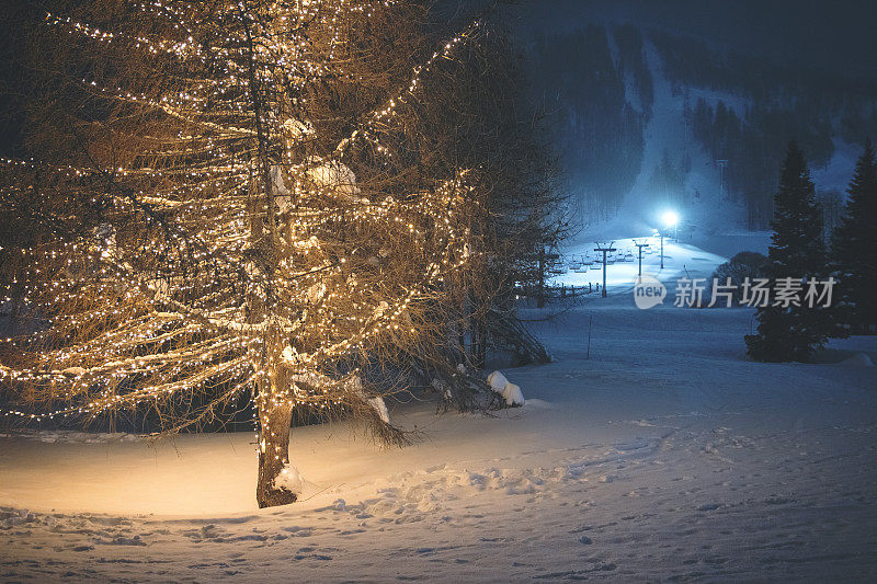 在雪夜，圣诞灯光照亮了滑雪场脚下的一棵光秃秃的树