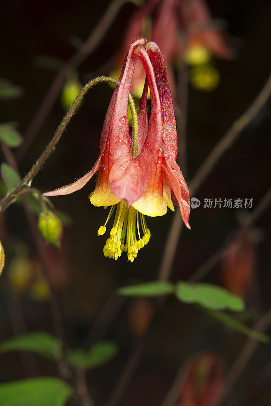 暴风雨过后,