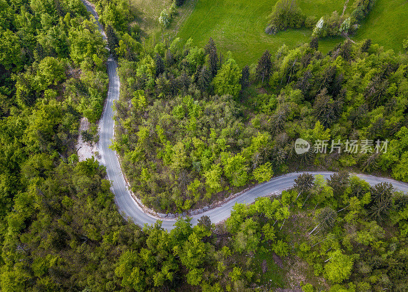 鸟瞰图的单一道路在森林