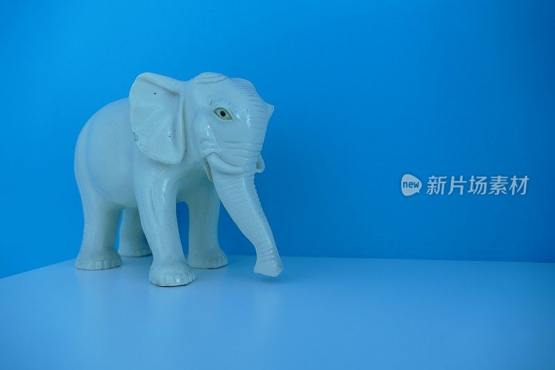 蓝色背景上的小大象雕像