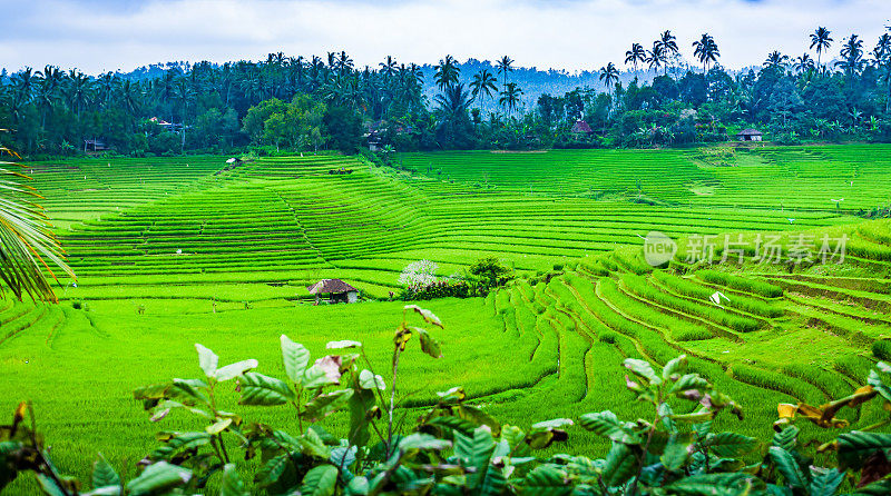巴厘岛宝格丽度假村